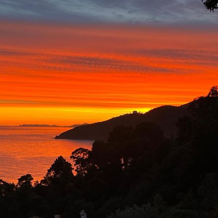 Magnifique Villa Neuve Vue Mer Cavalaire-sur-Mer Buitenkant foto