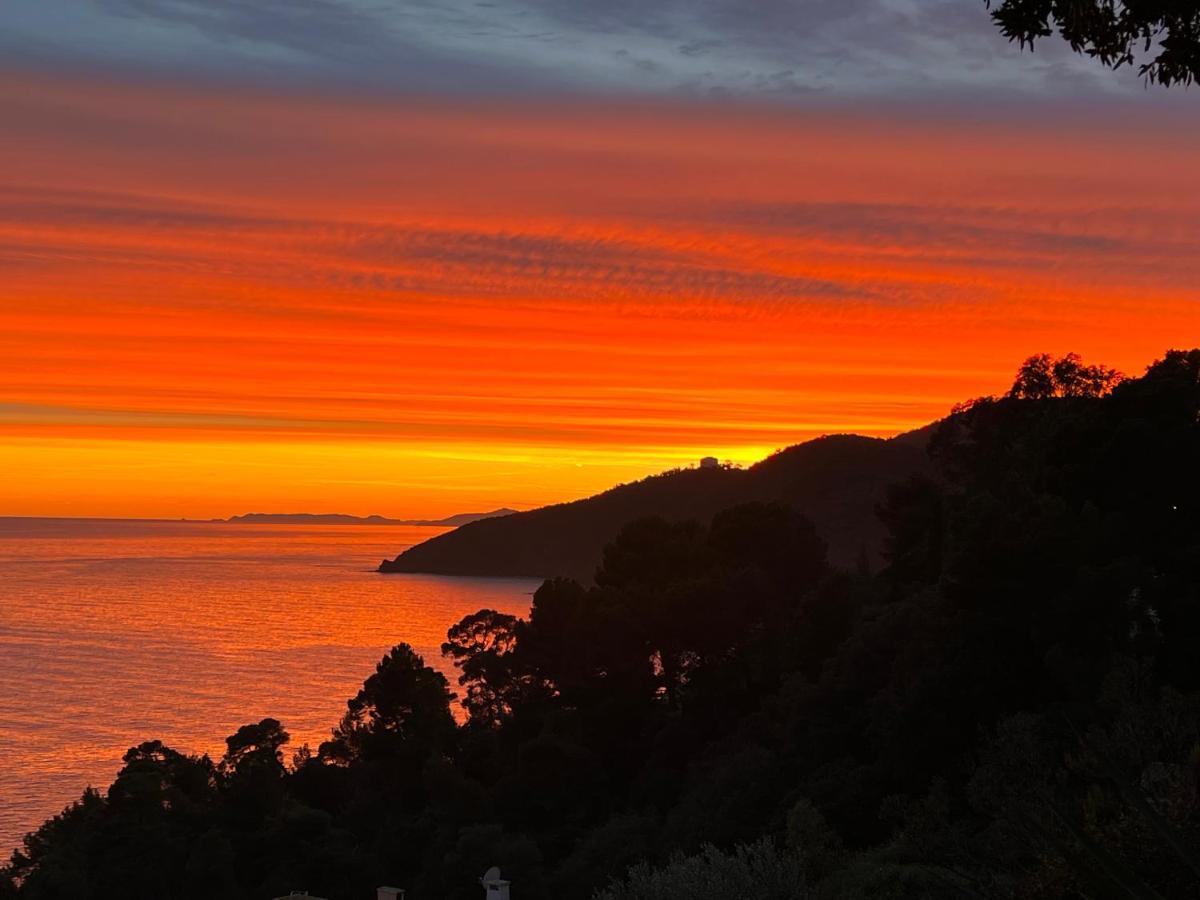 Magnifique Villa Neuve Vue Mer Cavalaire-sur-Mer Buitenkant foto